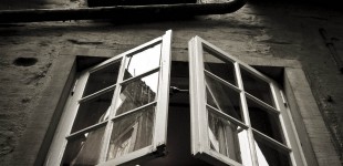 Das Fenster zum Hof