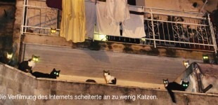 Abgründe zwischen Mensch und Tier nachts um halb vier