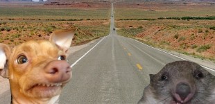 Ron and Stampy hit the Road